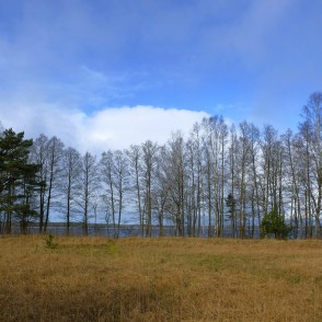 Skats uz Būšnieku ezeru pavasarī Skats uz Būšnieku ezeru pavasarī