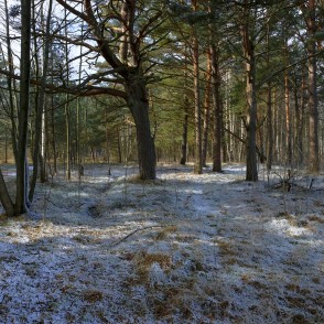 Ejot apkārt Būšnieku ezeram Ejot apkārt Būšnieku ezeram