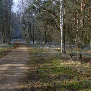 Ejot apkārt Būšnieku ezeram Ejot apkārt Būšnieku ezeram