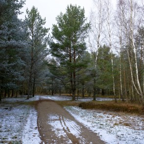 Ejot apkārt Būšnieku ezeram Ejot apkārt Būšnieku ezeram