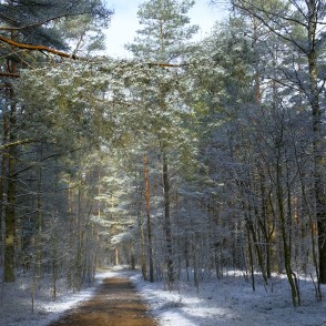 Ejot apkārt Būšnieku ezeram Ejot apkārt Būšnieku ezeram