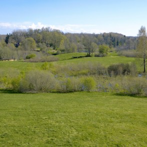 Embūtes senleja pavasarī Embūtes senleja pavasarī