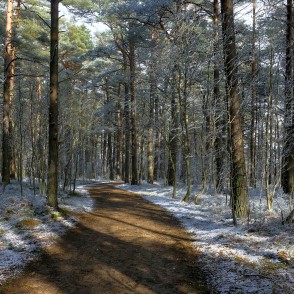 Ejot apkārt Būšnieku ezeram Ejot apkārt Būšnieku ezeram