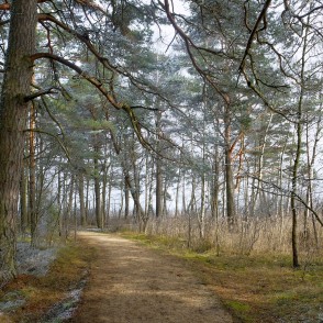 Ejot apkārt Būšnieku ezeram Ejot apkārt Būšnieku ezeram