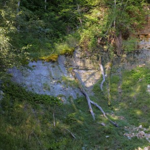 Vizuļu iezis Vizuļu iezis