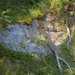 Vizuļu iezis Vizuļu iezis