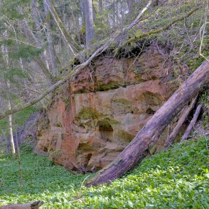 Lorumupes atsegumi Kaļķupes ielejā Lorumupes atsegumi Kaļķupes ielejā