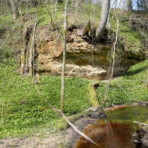 Vīdāles gravas atsegumi Vīdāles gravas atsegumi