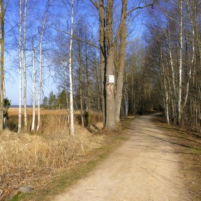 Ceļš uz Kaņiera ezera torni un niedru laipu Ceļš uz Kaņiera ezera torni un niedru laipu