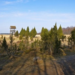 Skats uz Kaņiera ezera torni Skats uz Kaņiera ezera torni
