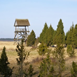 Skats uz Kaņiera ezera torni Skats uz Kaņiera ezera torni