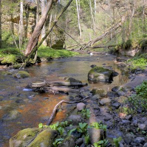 Lorumupes ainava, smilšakmens atsegumi Lorumupes ainava, smilšakmens atsegumi