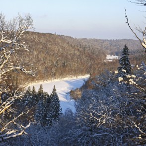 Gaujas senielejas ziemas ainava pie Siguldas Gaujas senielejas ziemas ainava pie Siguldas