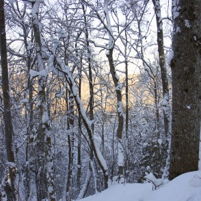 Gaujas nacionālā parka ziemas ainava Gaujas nacionālā parka ziemas ainava