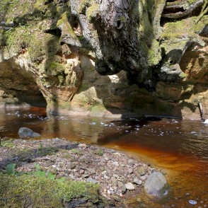 Lorumupes smilšakmens atsegumi Lorumupes smilšakmens atsegumi