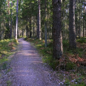 Ejot pa Kaņiera pilskalna taku Ejot pa Kaņiera pilskalna taku