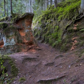 Smilšakmens atsegumi pie Vaives dzirnavām Smilšakmens atsegumi pie Vaives dzirnavām