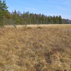 Pie Kaņiera ezera Pie Kaņiera ezera