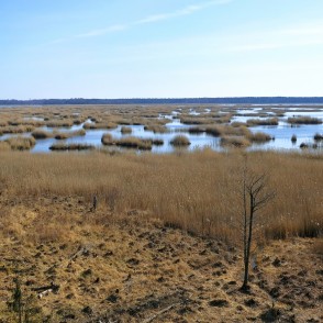 Skats no Kaņiera pilskalna skatu torņa Skats no Kaņiera pilskalna skatu torņa