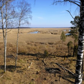 Skats no Kaņiera pilskalna skatu torņa Skats no Kaņiera pilskalna skatu torņa