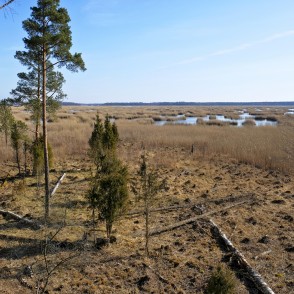 Skats no Kaņiera pilskalna skatu torņa Skats no Kaņiera pilskalna skatu torņa