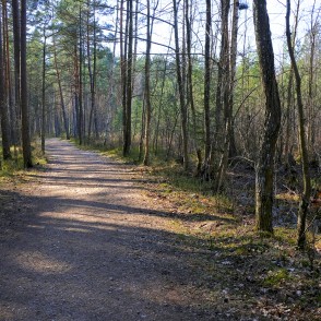 Ejot pa Zaļās kāpas taku pavasarī Ejot pa Zaļās kāpas taku pavasarī
