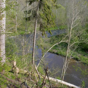 Skats uz Imulu, Imulas dabas taka Skats uz Imulu, Imulas dabas taka