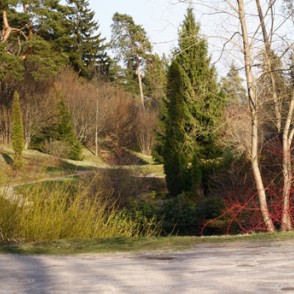 Špakovska parks Špakovska parks