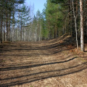 Zaļās kāpas taka pavasarī Zaļās kāpas taka pavasarī