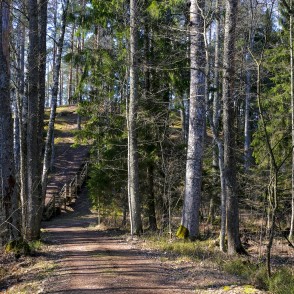 Zaļā kāpa Zaļā kāpa