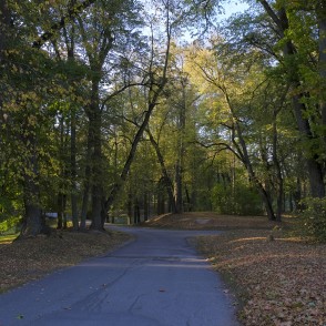 Pils ceļš uz Zaļo muižu Pils ceļš uz Zaļo muižu