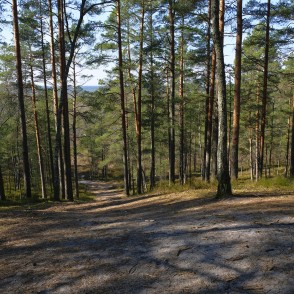 Zaļās kāpas virsotnē Zaļās kāpas virsotnē