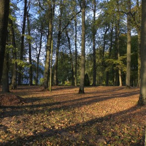 Birst lapas Zaļās muižas parkā Birst lapas Zaļās muižas parkā