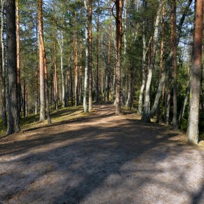 Zaļās kāpas virsotnē Zaļās kāpas virsotnē