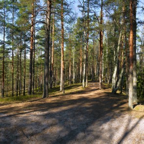 Zaļās kāpas panorāma Zaļās kāpas panorāma