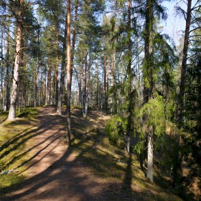 Zaļās kāpas virsotnē Zaļās kāpas virsotnē