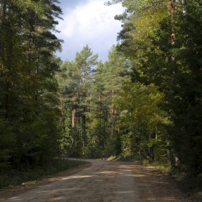 Ceļš uz LLU Zirgkopības mācību centru „Mušķi“ Ceļš uz LLU Zirgkopības mācību centru „Mušķi“