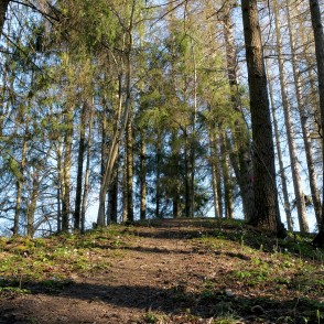 Ejot pa Ugāles dabas taku Ejot pa Ugāles dabas taku