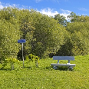 Gaujas izteka no Ežupītes Gaujas izteka no Ežupītes