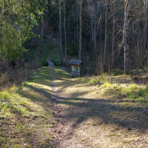 Ejot uz Ugāles pilskalnu pa dabas taku Ejot uz Ugāles pilskalnu pa dabas taku