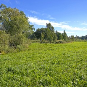 Gaujas iztekas ainava Gaujas iztekas ainava