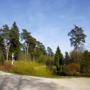 Špakovska parks Špakovska parks