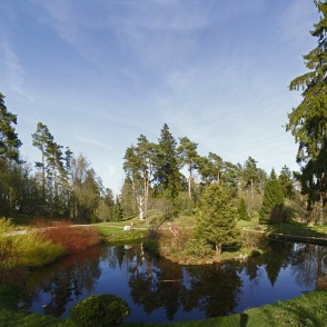 Špakovska parks Špakovska parks
