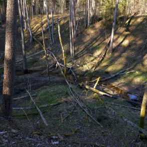 Grava pie Ugāles pilskalna Grava pie Ugāles pilskalna