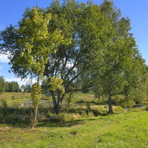 Gaujas sākums Elkas kalna pakājē Gaujas sākums Elkas kalna pakājē