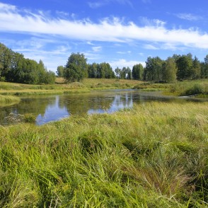 Gaujas sākums no Ežupītes jeb Ārnītes Gaujas sākums no Ežupītes jeb Ārnītes