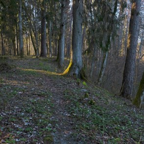 Ejot pa Ugāles dabas taku Ejot pa Ugāles dabas taku