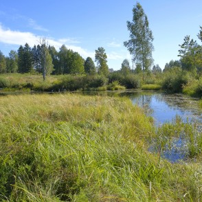Gaujas sākums no Ežupītes jeb Ārnītes Gaujas sākums no Ežupītes jeb Ārnītes