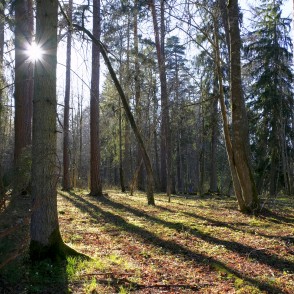 Ugāles pilskalna ainava Ugāles pilskalna ainava