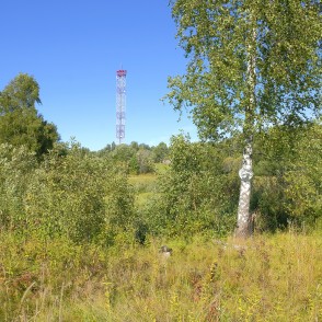 Gaujas sākums no Ežupītes jeb Ārnītes Gaujas sākums no Ežupītes jeb Ārnītes